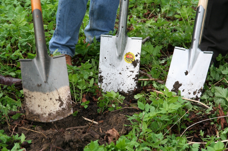 pepiniere-CUEBRIS-min_work-lawn-flower-tool-green-backyard-1103633-pxhere.com